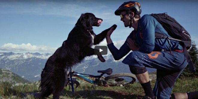 Whistler en la mejor compañia