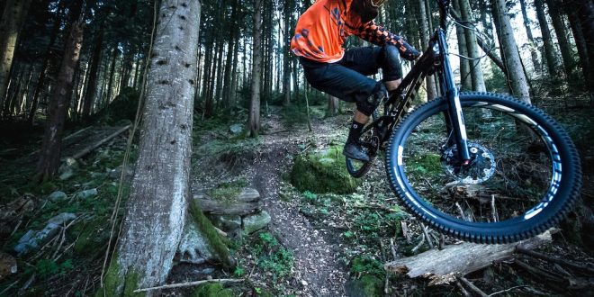 FREERIDE IS NOT DEAD