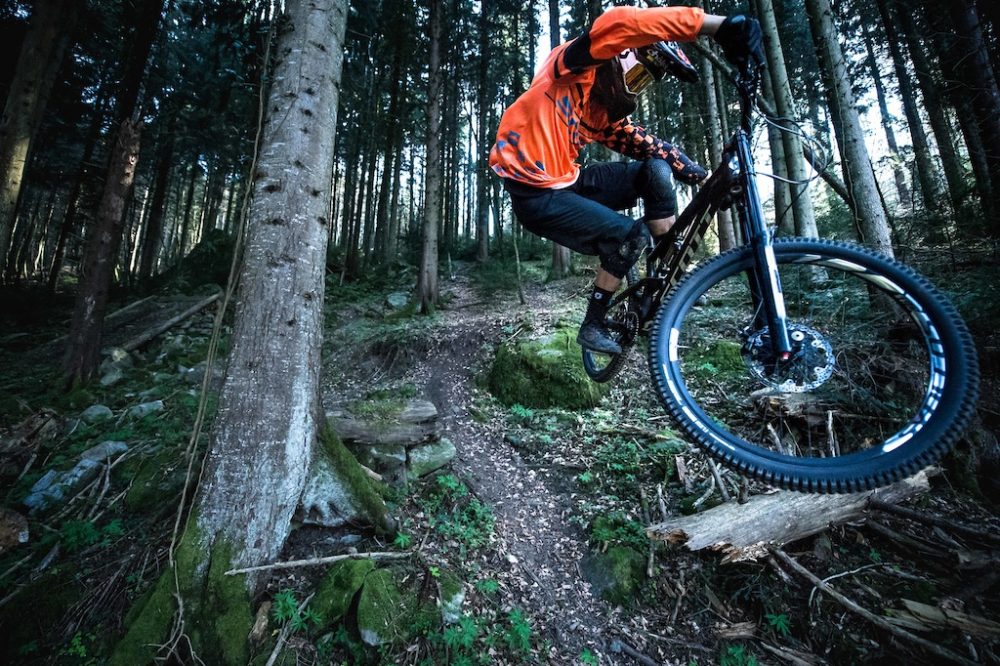 FREERIDE IS NOT DEAD