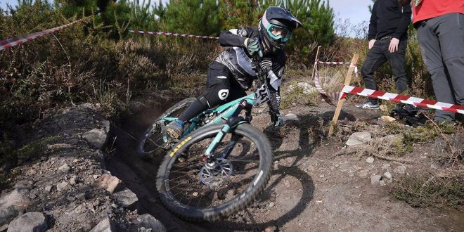 VIRGINIA GARCIA-LOYGORRI