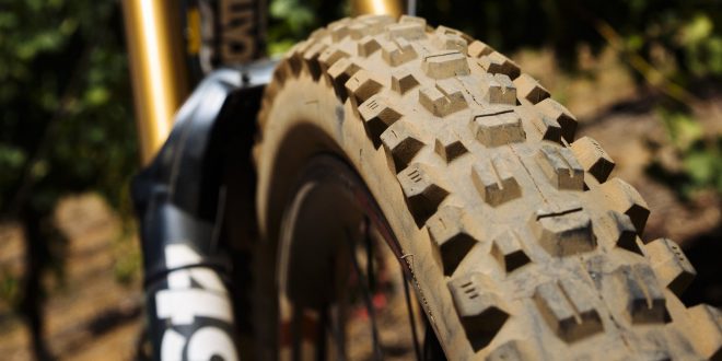 NEUMATICO ASSEGAI DE MAXXIS PARA DESCENSO