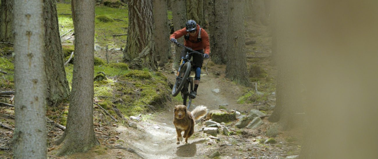 PATAS Y RUEDAS PAWS y WHEELS