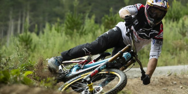 EL REGRESO DEL BULLDOG - BROOK MACDONALD