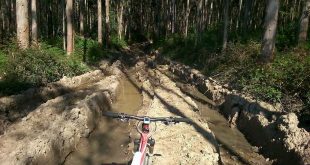 LAS BICICLETAS MTB EROSIONAN LA MONTAÑA