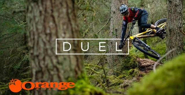 TE GUSTA EL WHISKY ESCOCES?