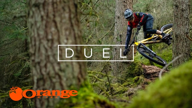 TE GUSTA EL WHISKY ESCOCES?