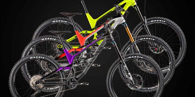 CANYON TORQUE 2020 MTB