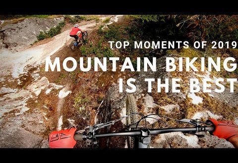 LOS MEJORES MOMENTOS 2019 DE REMY METAILLER