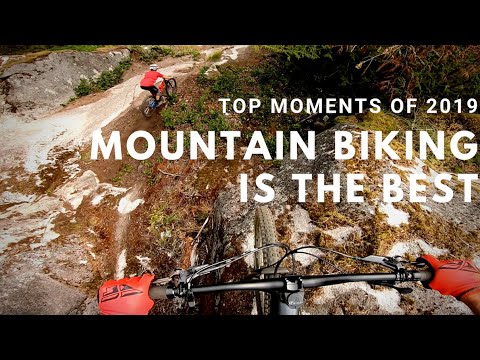 LOS MEJORES MOMENTOS 2019 DE REMY METAILLER