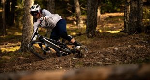 GREG WILLIAMSON FLOW VELOCIDAD Y TERRENO CREMA