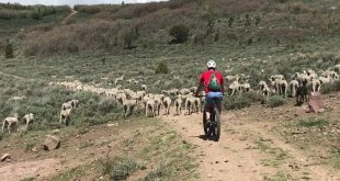 UN MASTÍN ATACA AUN CICLISTA DE MONTAÑA