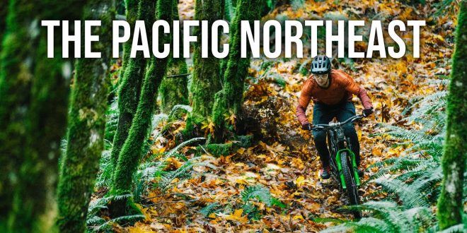 Siente la sensación de surfear MTB sobre un manto de hojas