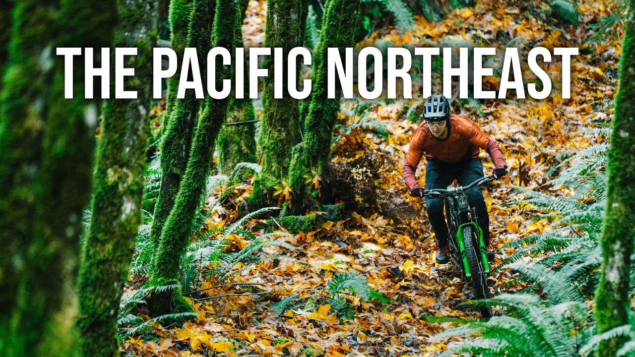Siente la sensación de surfear MTB sobre un manto de hojas