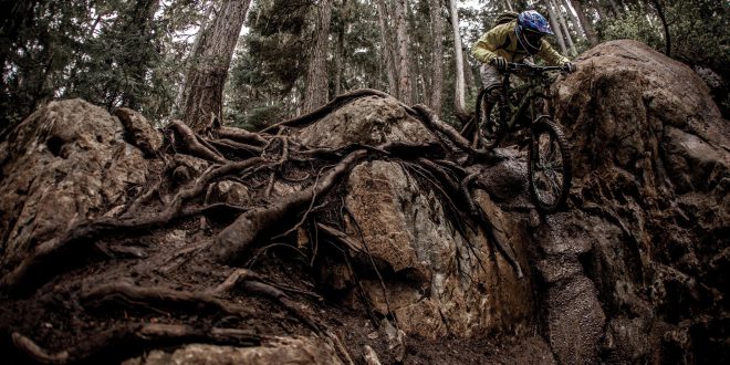 3 Consejos MTB para montar sobre raices mojadas