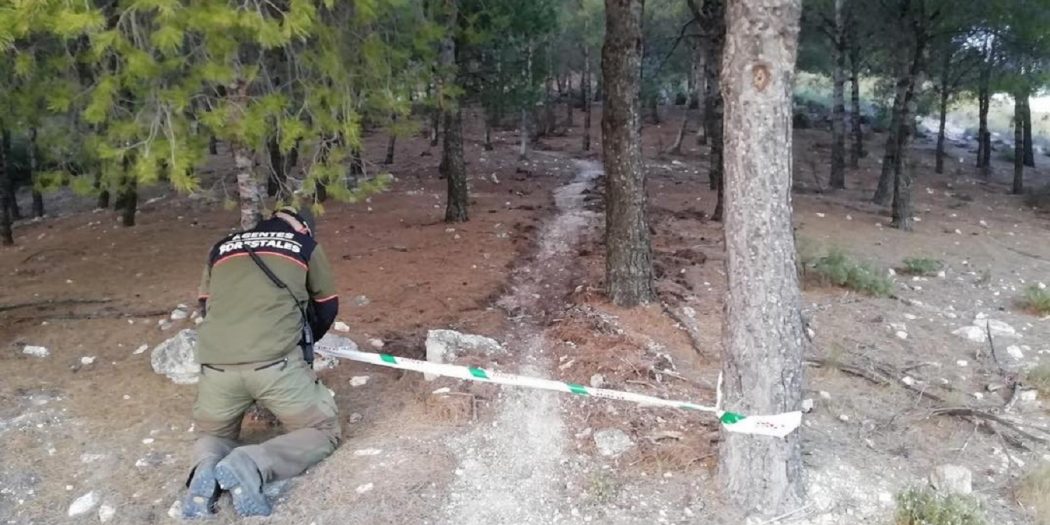 Los forestales de Madrid cierran un sendero MTB ilegal