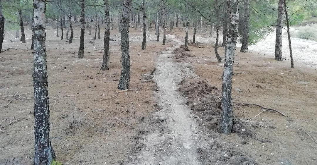 Los forestales de Madrid cierran un sendero MTB ilegal
