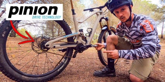 Caja cambios PINION Como funciona ventajas y desventajas