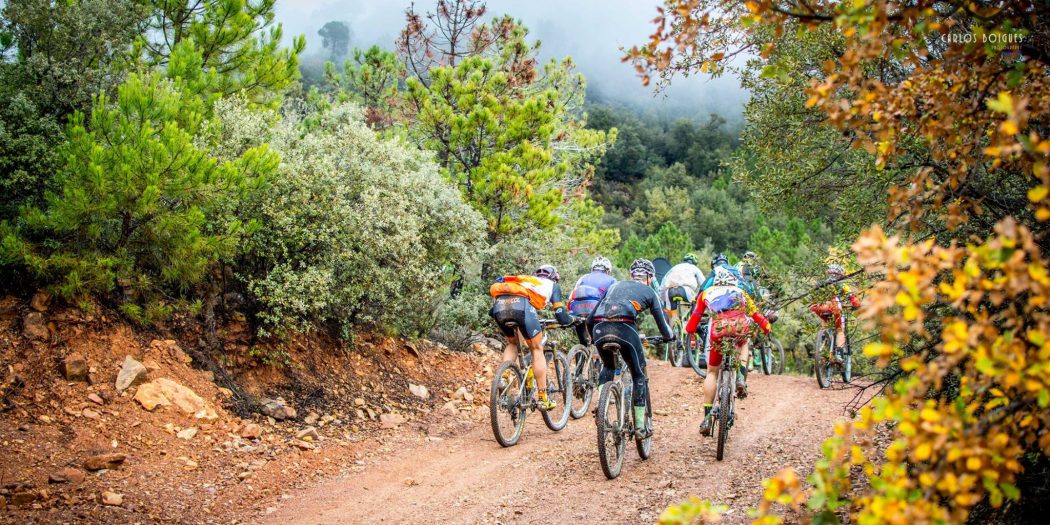 La Consejeria de Agricultura sanciona a ciclistas con 601€