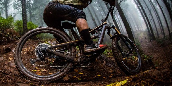 Fortalece tus gemelos para MTB con estos ejercicios